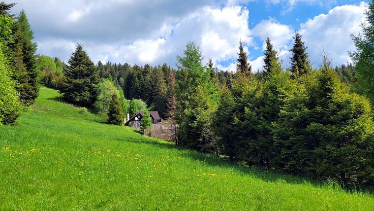 Lúky a smrekové lesy v Bachledovej doline